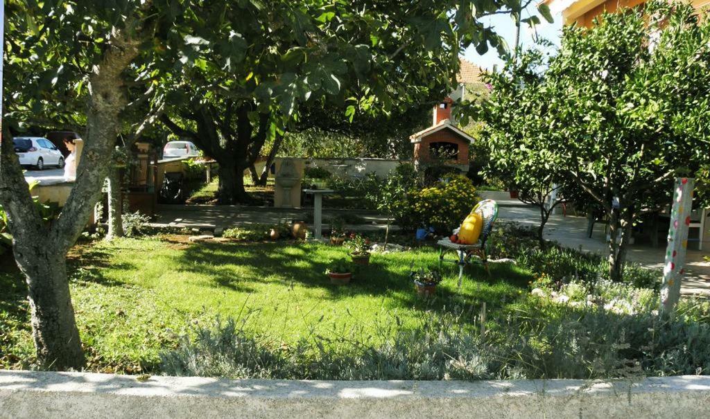 Apartmani Volga Petrcane Exterior foto